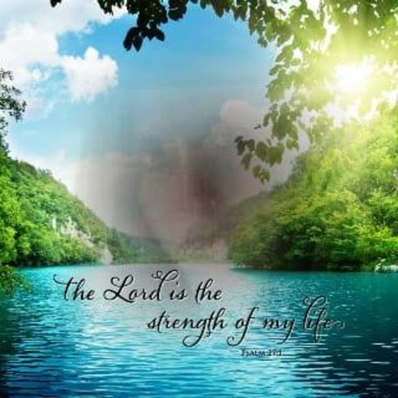 Meet your Posher, Trinity - Picture 1 of 1